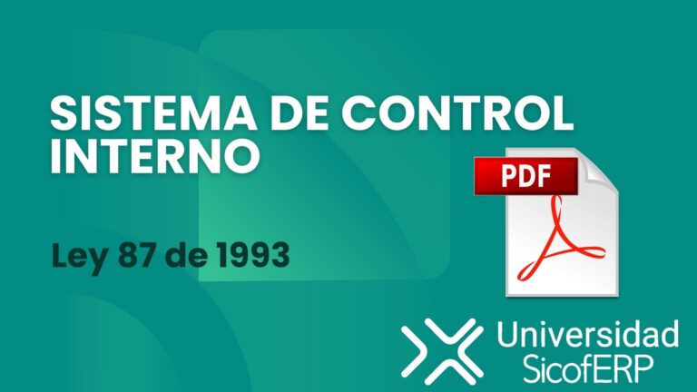 Ley 87 de 1993